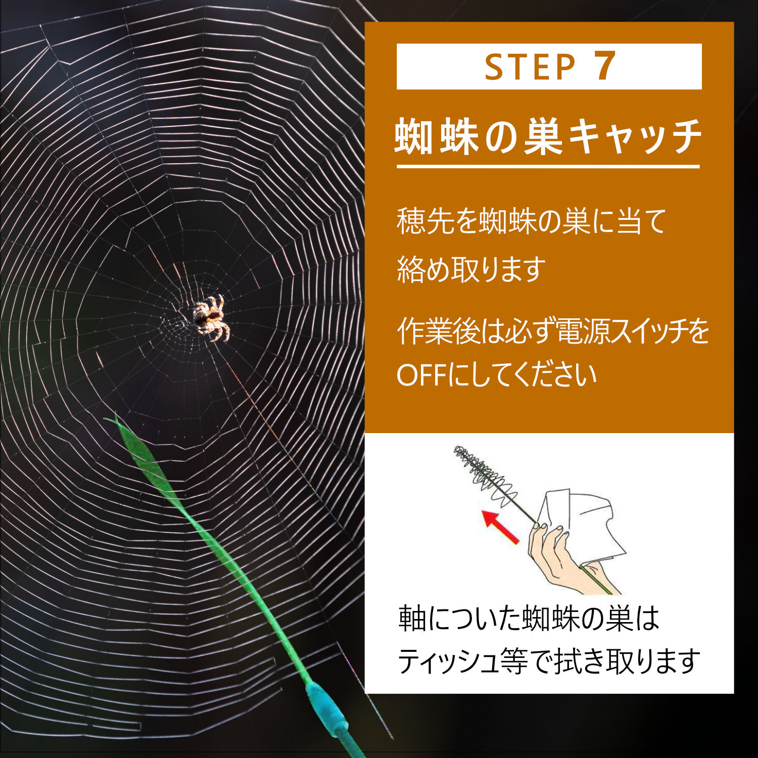 クモの巣キャッチャー KSC-02